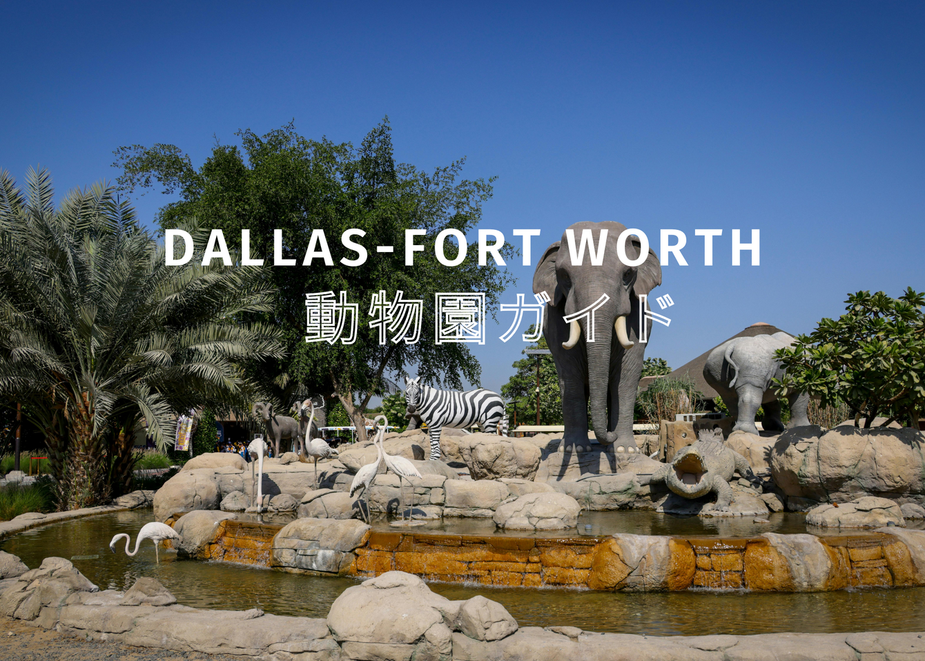 Dallas-Fort Worthの動物園ガイド
